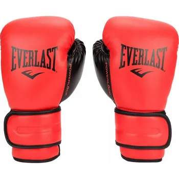 Boxerské rukavice Boxerské rukavice Everlast POWERLOCK 2R 10 oz