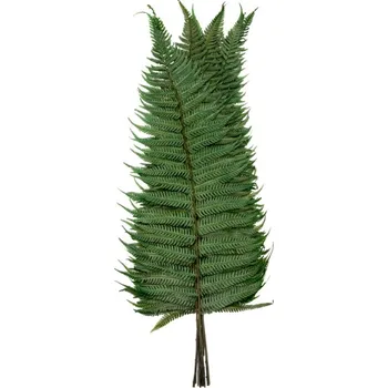 Parchemin Fern (Pravé "živé" stabilizované větvičky rostliny)