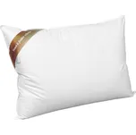 2G Lipov Péřový polštář Down & feather collection - tříkomorový - 70x90 cm