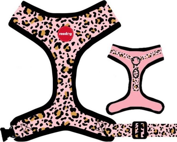 Reedog LEO PINK - XS