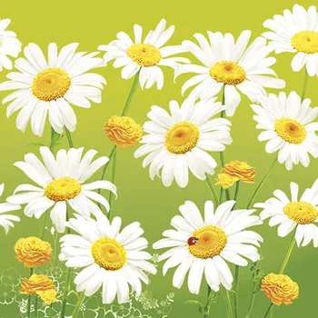 Pol-Mak Ubrousky DAISY L (20ks) Lovely Marguerites on Green 539385
