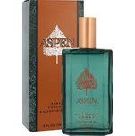Aspen Aspen 118 ml kolínská voda pro muže