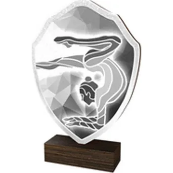 Poháry Bauer Dřevěná plaketa TFRW112 | Gymnastika