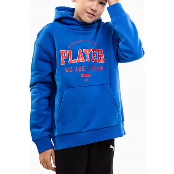 Chlapecká mikina Dětská mikina 4F bavlna , velikost 164