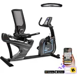 inSPORTline Recumbent inCondi R600i