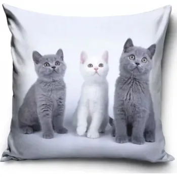 Povlak na dekorativní polštářek Carbotex Povlak na polštářek Kočičí trio 40 x 40 cm