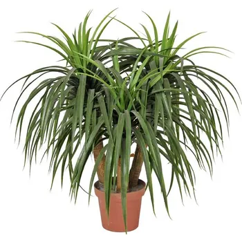 umělá květina Nolina tlustokmenná umělá 75 cm v plast.květináči