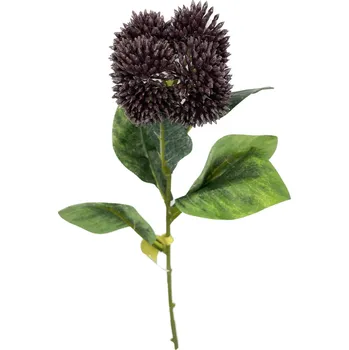 Bodlák hnědý 31 cm