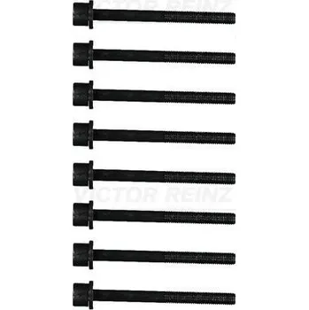 Spojovací materiál motoru Sada šroubů hlavy válce VICTOR REINZ 14-11653-01