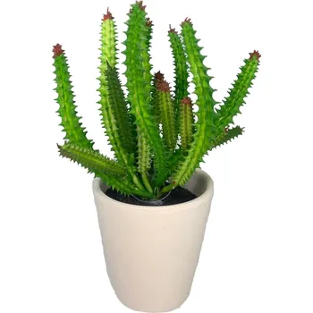 Obal na květináč Kaktus 18 cm + obal pr.10 cm, zelený Barva: Bílá