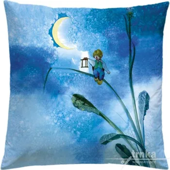 Povlak na dekorativní polštářek Povlak na polštář 40 x 40 cm - Brouček na stéble trávy (Broučci)