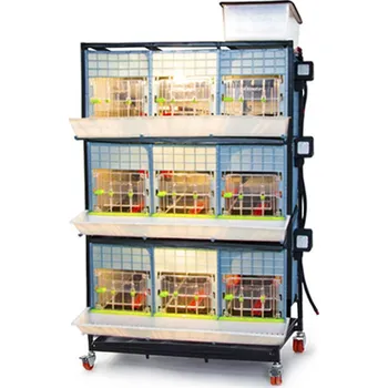 Bravson Odchovna drůbeže CIMUKA CB40-03-3K