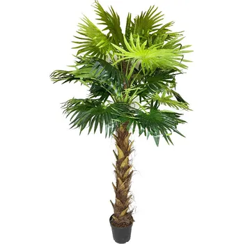 umělá květina Palma Washingtonia 210 cm v květináči