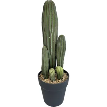Kaktus X6 + obal pr. 14 cm