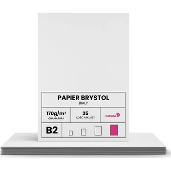 Papír pro tiskárny Ozdobný papír B2 (500 x 700 mm) Netuno 170 g/m2, 25 listů