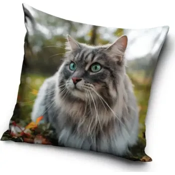 Dekorativní polštářek Carbotex Dekorační polštářek Kočka sibiřská 40 x 40 cm