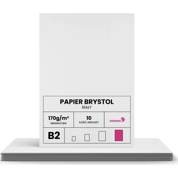 Barevný papír Technický papír karton bílý 170g B2 10 listů