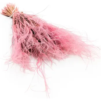 mech-mech.cz Sušený Kavyl Ivanův - (Stipa pennata) - Antický růž