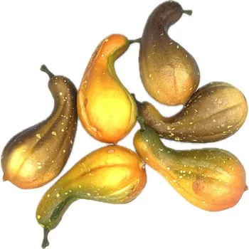 Mini dýně 4 cm v bal. 6 ks