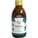 Salvia Paradise Chlorella Japanese kapsle - 120 ks