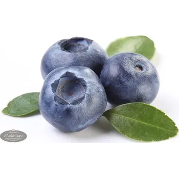 Čokoláda IREKS Borůvková náplň s kusovým ovocem Mella Filling Ireks - 3 kg