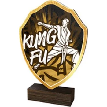 Poháry Bauer Dřevěná plaketa TFRW167 | Bojová umění