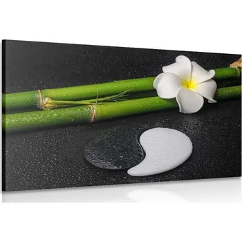 Obraz Dovido Obraz Spa zátiší a kameny Jin a Jang