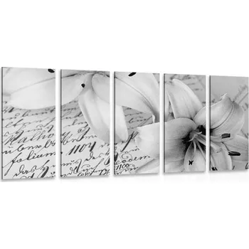 Obraz Dovido 5-dílný obraz lilie na starém dokumentu v černobílém provedení