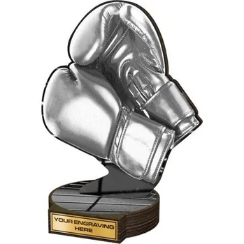 Poháry Bauer Dřevěná plaketa RWR183 | Bojová umění