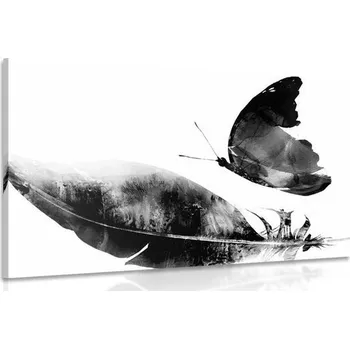 Obraz Dovido Obraz pírko s motýlem v černobílém provedení