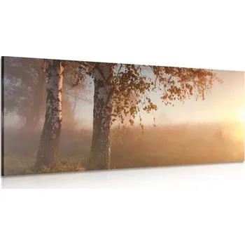Obraz Dovido Obraz mlhavý podzimní les