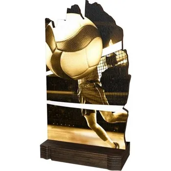 Poháry Bauer Dřevěná plaketa WPLAR02M15 | Volejbal