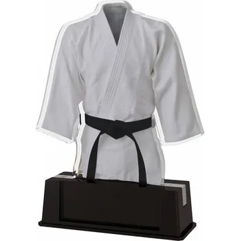 Poháry Bauer Akrylátová trofej FA211M03 | Bojová umění