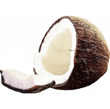 Ztužovač Karina Kokos 1 kg - IREKS