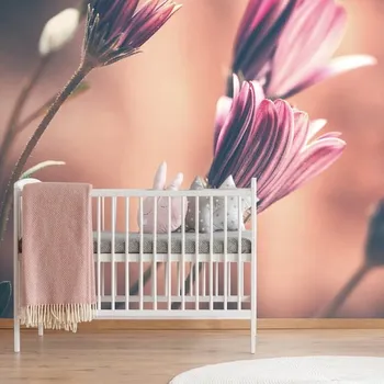 Tapeta Dovido Fototapeta jemné růžové květiny