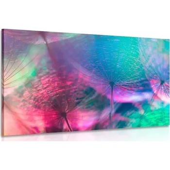 Obraz Dovido Obraz pampeliška v pastelových barvách