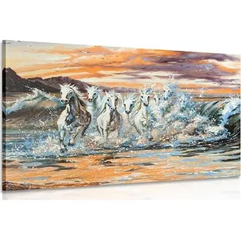 Obraz Dovido Obraz koně tvořeny vodou