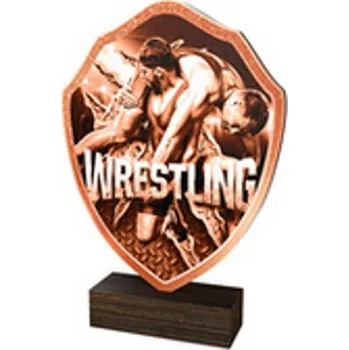 Poháry Bauer Dřevěná plaketa TFRW209 | Bojová umění