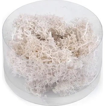 umělá květina Stabilizovaný / preparovaný mech 20 g v krabičce - 1 bílá přírodní