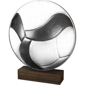 Poháry Bauer Dřevěná plaketa WF276 | Volejbal