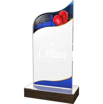 Poháry Bauer Akrylátová trofej WPLA589 | Bojová umění