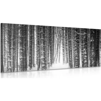 Obraz Dovido Obraz les zahalen sněhem v černobílém provedení
