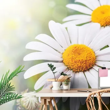 Tapeta Dovido Samolepící fototapeta květiny kopretiny