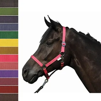 Jezdectví Ohlávka HKM Stars Economy