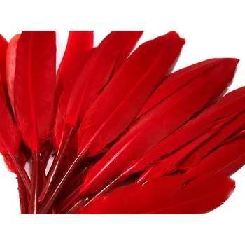 Kachní peří délka 9-14 cm balení 20 kusů v sáčku - 1 červená