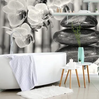 Fototapeta Dovido Fototapeta japonská černobílá Zen zahrada