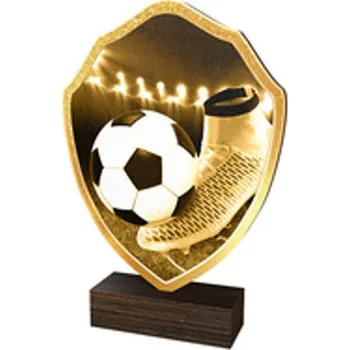 Poháry Bauer Dřevěná plaketa TFRW006 | Fotbal
