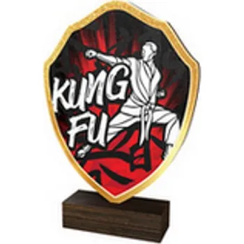 Poháry Bauer Dřevěná plaketa TFRW166 | Bojová umění