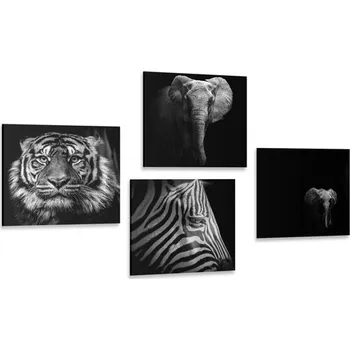 Obraz Dovido Set obrazů zvířata v černobílém stylu