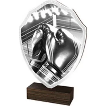 Poháry Bauer Dřevěná plaketa TFRW172 | Bojová umění